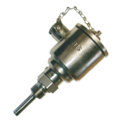 Stainless stell head temperature sensors